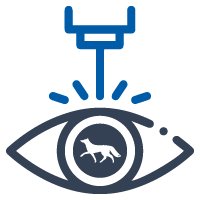 Лазерная коррекция зрения в Сургуте
