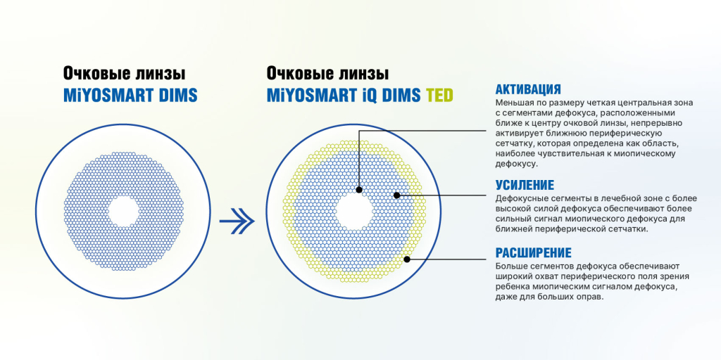 STS_вектор-02.jpg