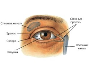 синдром сухого глаза.jpg