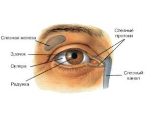 Промывание слезных путей