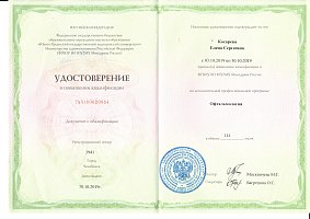 Сертификат Косарева Елена Сергеевна