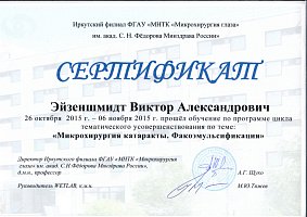 Сертификат Эйзеншмидт Виктор Александрович