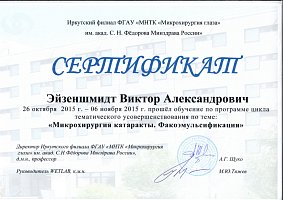Сертификат Эйзеншмидт Виктор Александрович