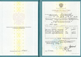 Сертификат Березина Татьяна Дмитриевна