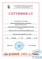 Сертификат Кислицын Василий Владимирович